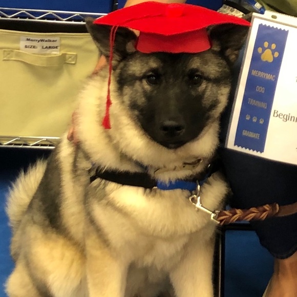 Meet your Posher, Janet - Picture 8 of 10